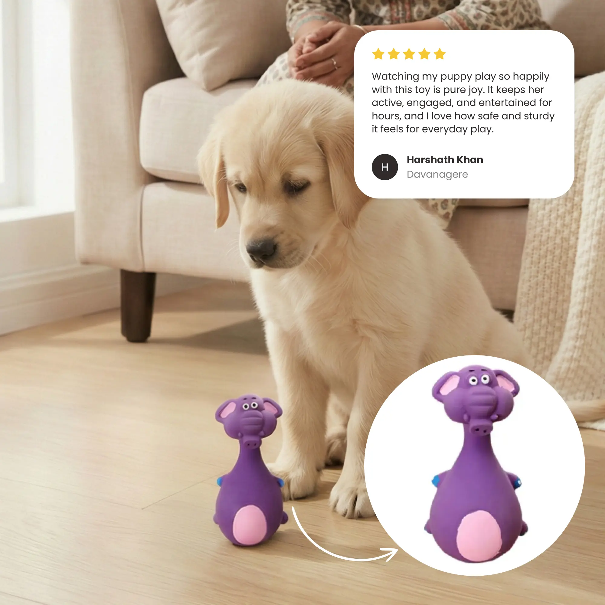 Squeaky Animal Toy 01