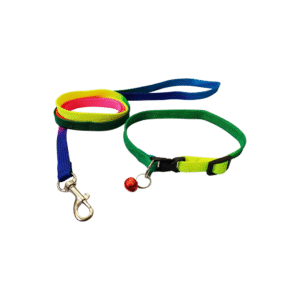 Rainbow Collar & Leash