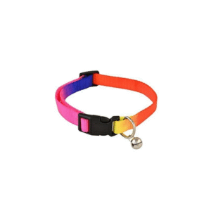 Rainbow Cat Collar