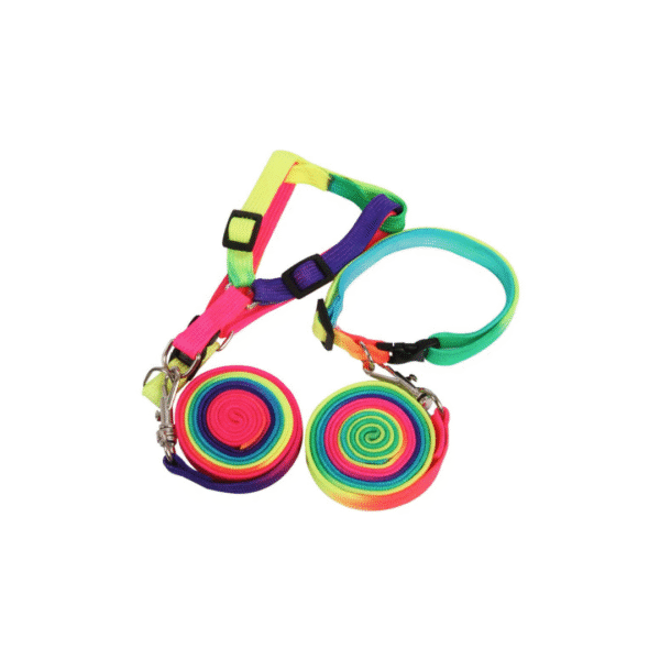 Rainbow Harness & Leash - Image 3