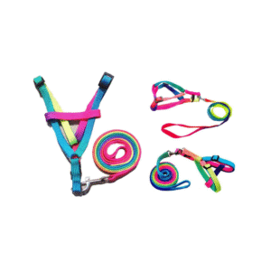 Rainbow Harness & Leash