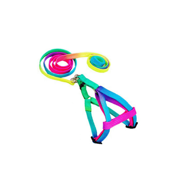 Rainbow Harness & Leash - Image 2