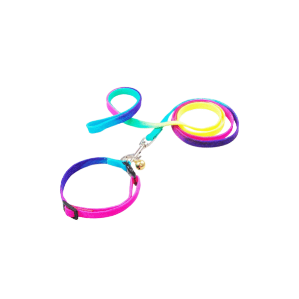 Rainbow Collar & Leash - Image 2