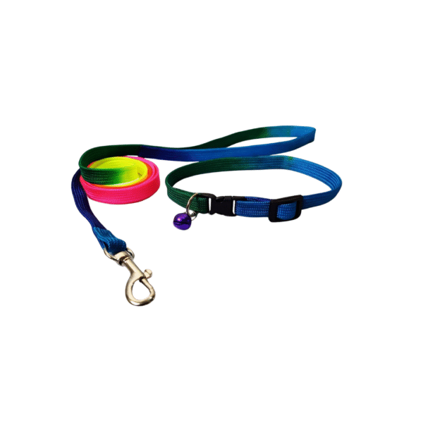 Rainbow Collar & Leash - Image 3