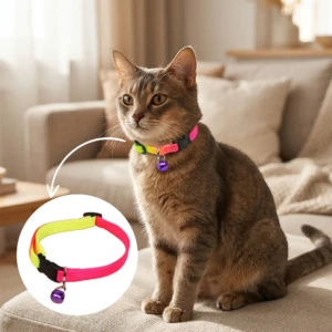 Rainbow Collar 05 (1)