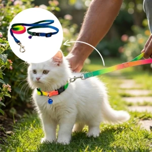 Rainbow Collar & Leash 05