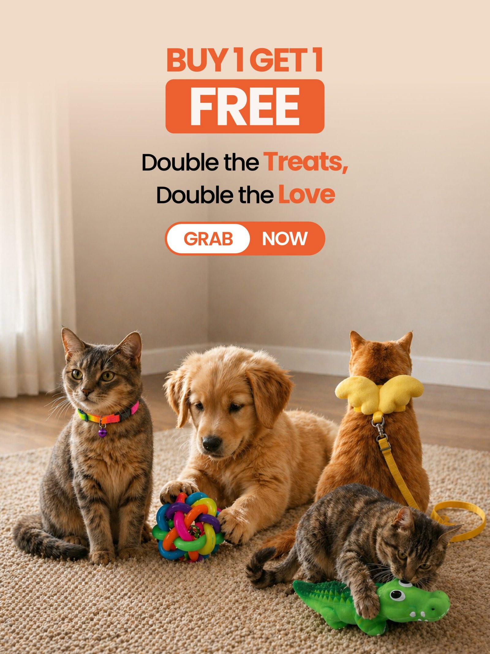 Buy 1 Get 1 Free Offer