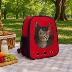 Cat Face Bag